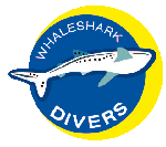 whaleshark divers